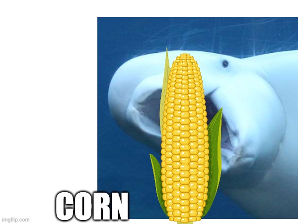 corn | CORN | image tagged in corn,it,has,the,juice | made w/ Imgflip meme maker