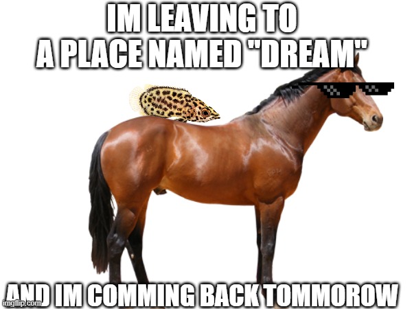 goodnight | IM LEAVING TO A PLACE NAMED "DREAM"; AND IM COMMING BACK TOMMOROW | image tagged in im,going,to,dream | made w/ Imgflip meme maker