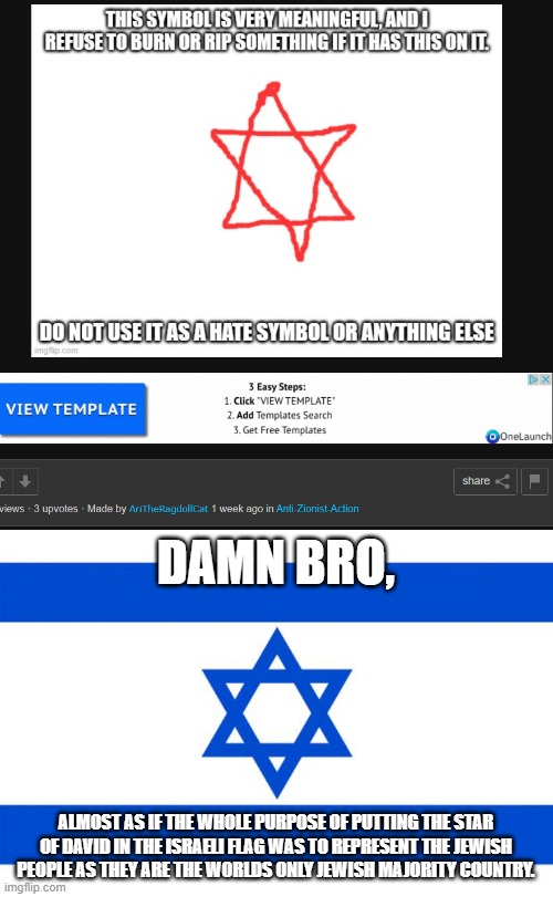 The star of David in the Israeli flag was to represent jews, these people are getting dumber and dumber | DAMN BRO, ALMOST AS IF THE WHOLE PURPOSE OF PUTTING THE STAR OF DAVID IN THE ISRAELI FLAG WAS TO REPRESENT THE JEWISH PEOPLE AS THEY ARE THE WORLDS ONLY JEWISH MAJORITY COUNTRY. | image tagged in meme israel,israel,jews,stupid | made w/ Imgflip meme maker