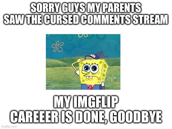 goodbye | SORRY GUYS MY PARENTS SAW THE CURSED COMMENTS STREAM; MY IMGFLIP CAREEER IS DONE, GOODBYE | image tagged in this is a tag | made w/ Imgflip meme maker