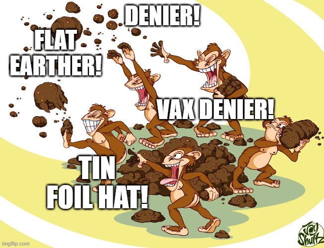 Monkey Fight | DENIER! FLAT EARTHER! VAX DENIER! TIN FOIL HAT! | image tagged in denier,flat earth | made w/ Imgflip meme maker