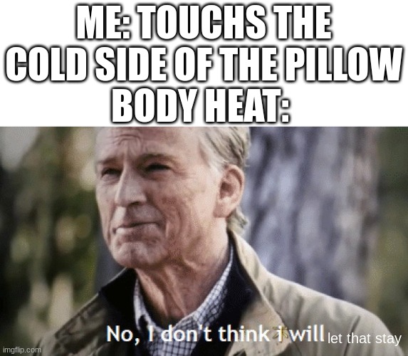 No, i dont think i will | ME: TOUCHS THE COLD SIDE OF THE PILLOW
BODY HEAT:; let that stay | image tagged in no i dont think i will | made w/ Imgflip meme maker
