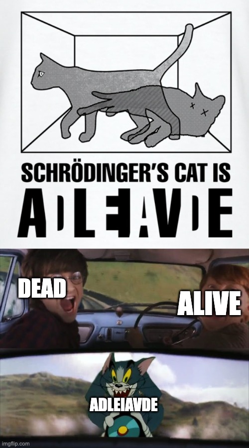 DEAD; ALIVE; ADLEIAVDE | image tagged in schrodinger's cat,tom chasing harry and ron weasly | made w/ Imgflip meme maker