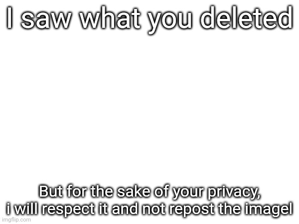 I saw what you deleted; But for the sake of your privacy, i will respect it and not repost the imagel | made w/ Imgflip meme maker