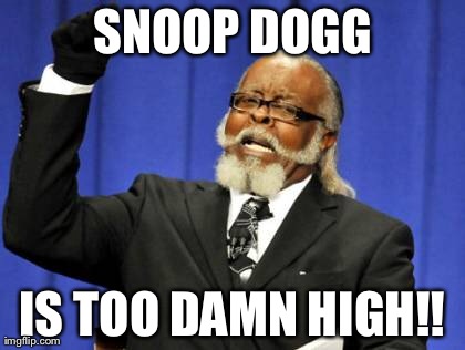 Too Damn High | SNOOP DOGG IS TOO DAMN HIGH!! | image tagged in memes,too damn high | made w/ Imgflip meme maker
