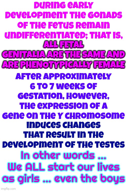 Everyone Should Know Basic Biology.  We Are So Fascinating! | During early development the gonads of the fetus remain undifferentiated; that is,
ALL FETAL GENITALIA ARE THE SAME AND ARE PHENOTYPICALLY FEMALE; ALL FETAL
GENITALIA ARE THE SAME AND

ARE PHENOTYPICALLY FEMALE; After approximately 6 to 7 weeks of gestation, however, the expression of a gene on the Y chromosome; induces changes that result in the development of the testes; In other words ... We ALL start our lives as girls ... even the boys | image tagged in humans,people,abnormal psychology,biology,your body,memes | made w/ Imgflip meme maker