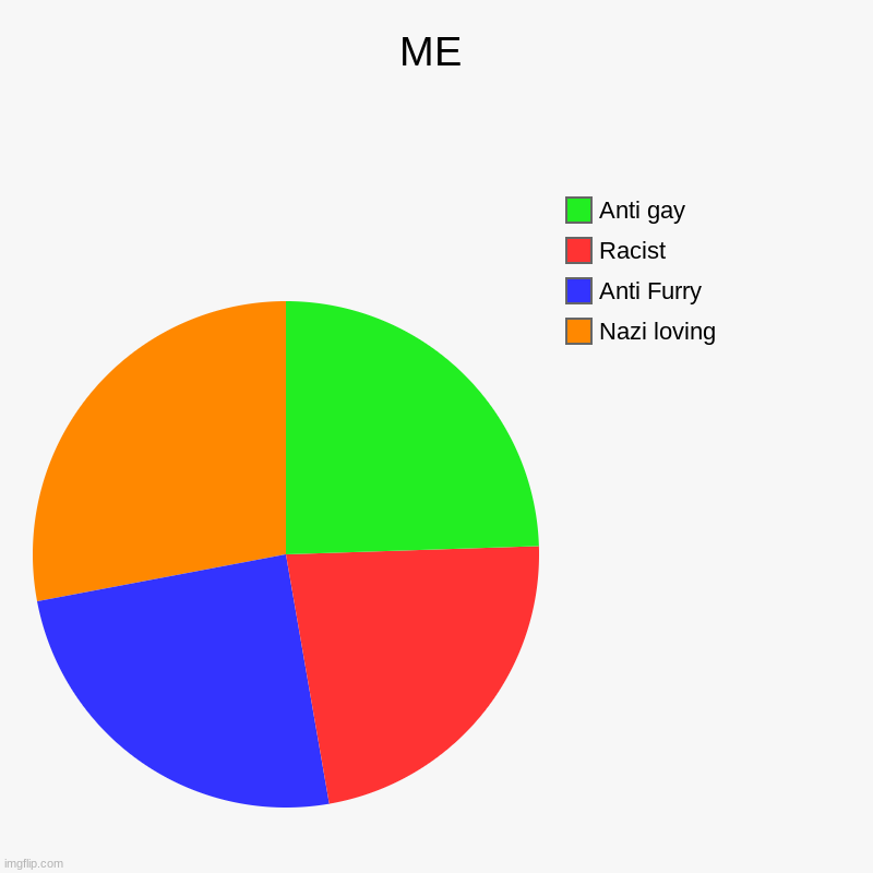 Me for no reason | ME | Nazi loving, Anti Furry, Racist, Anti gay | image tagged in charts,pie charts | made w/ Imgflip chart maker