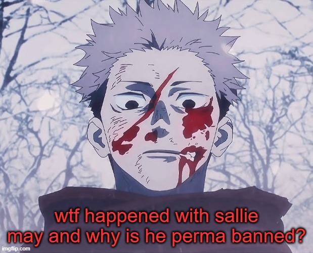 . | wtf happened with sallie may and why is he perma banned? | image tagged in yuji itadori | made w/ Imgflip meme maker