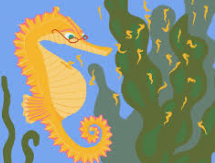 male seahorse Blank Meme Template