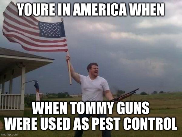 American flag shotgun guy | YOURE IN AMERICA WHEN; WHEN TOMMY GUNS WERE USED AS PEST CONTROL | image tagged in american flag shotgun guy | made w/ Imgflip meme maker
