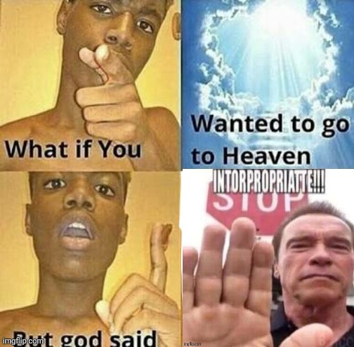 Intorapropiate | image tagged in what if you wanted to go to heaven | made w/ Imgflip meme maker