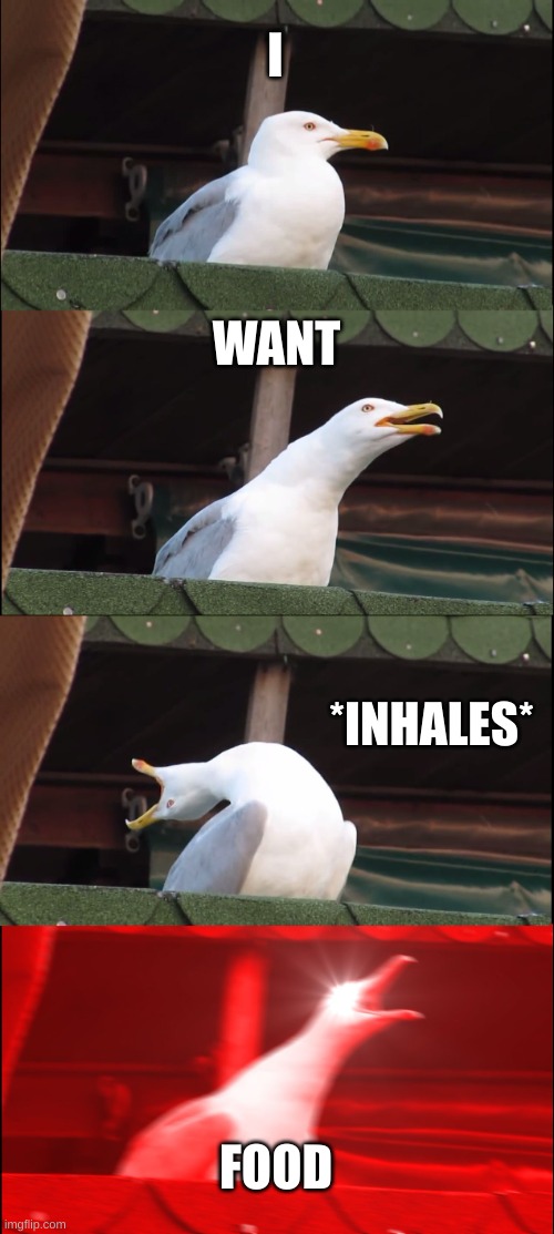 now | I; WANT; *INHALES*; FOOD | image tagged in memes,inhaling seagull | made w/ Imgflip meme maker
