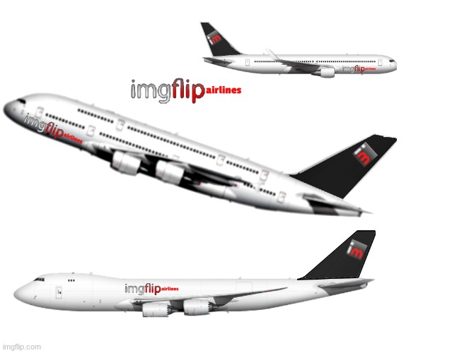 Imgflip airlines | image tagged in imgflip airlines | made w/ Imgflip meme maker