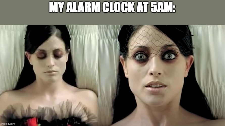 AAAAAAAAAAAAAAAAAAAAAAAAAAAA | MY ALARM CLOCK AT 5AM: | image tagged in helena | made w/ Imgflip meme maker