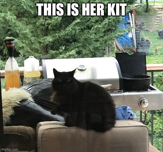 THIS IS HER KIT | made w/ Imgflip meme maker