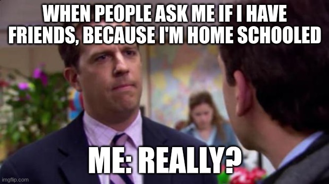 WHEN PEOPLE THINK HOMESCHOOLED KIDS HAVE NO FRIENDS ( WE DO!!!!) | WHEN PEOPLE ASK ME IF I HAVE FRIENDS, BECAUSE I'M HOME SCHOOLED; ME: REALLY? | image tagged in sorry i annoyed you,relatable | made w/ Imgflip meme maker