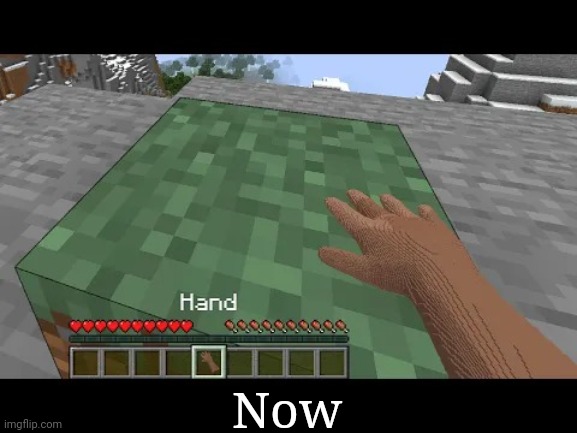 Hand touching Minecraft grass block | Now | image tagged in hand touching minecraft grass block | made w/ Imgflip meme maker
