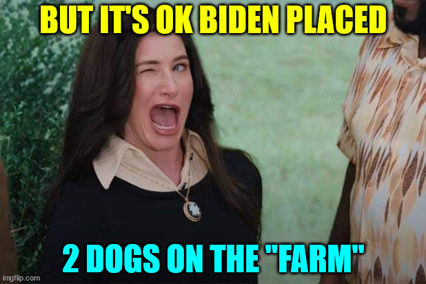 WandaVision Agnes wink | BUT IT'S OK BIDEN PLACED 2 DOGS ON THE "FARM" | image tagged in wandavision agnes wink | made w/ Imgflip meme maker