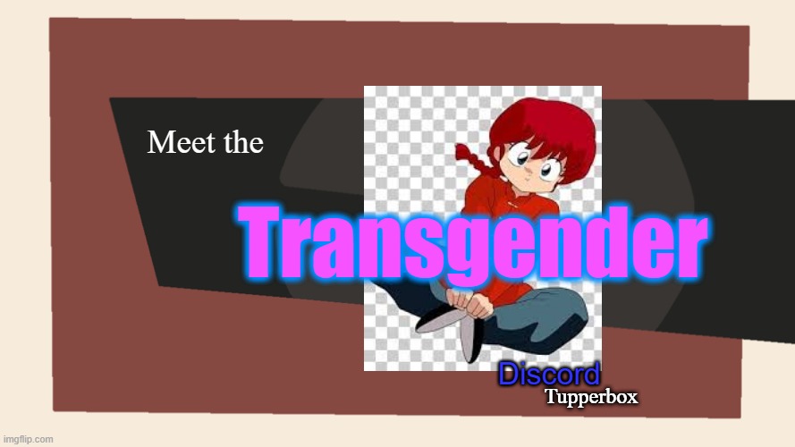 Meet the <Blank> | Meet the; Transgender; Discord; Tupperbox | image tagged in meet the blank,discord | made w/ Imgflip meme maker