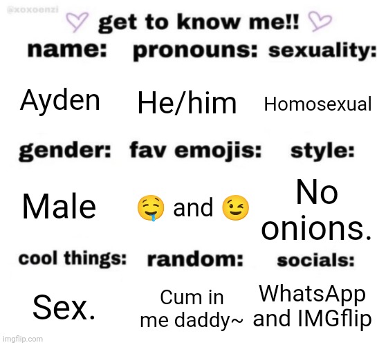 Stfu and do your homework | Ayden; He/him; Homosexual; 🤤 and 😉; No onions. Male; WhatsApp and IMGflip; Cum in me daddy~; Sex. | image tagged in get to know me but better | made w/ Imgflip meme maker