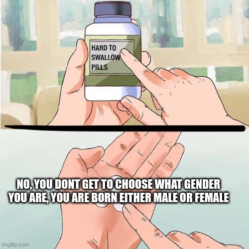 LGBTQ community..... | NO, YOU DONT GET TO CHOOSE WHAT GENDER YOU ARE, YOU ARE BORN EITHER MALE OR FEMALE | image tagged in hard to swallow truth | made w/ Imgflip meme maker