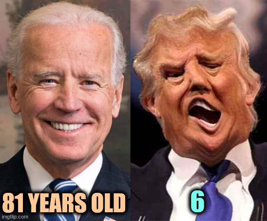 Biden grown up. Trump infant. | 6; 81 YEARS OLD | image tagged in biden solid stable trump acid drugs,biden,mature,trump,childish | made w/ Imgflip meme maker