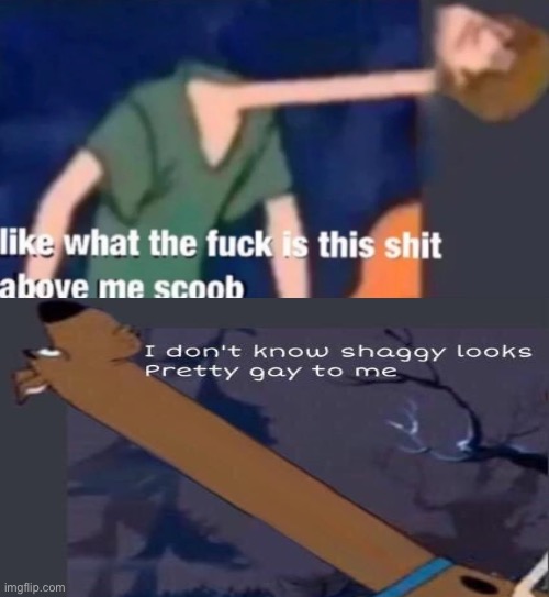 Like what the f*ck is this sh*t above me scoob | image tagged in like what the f ck is this sh t above me scoob | made w/ Imgflip meme maker