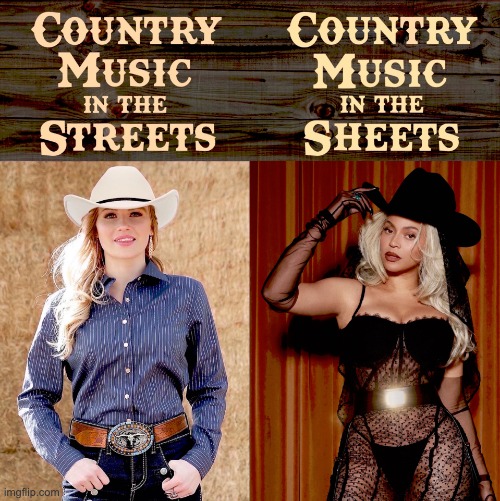 Beyonce Country Music Meme | image tagged in beyonce country music meme | made w/ Imgflip meme maker