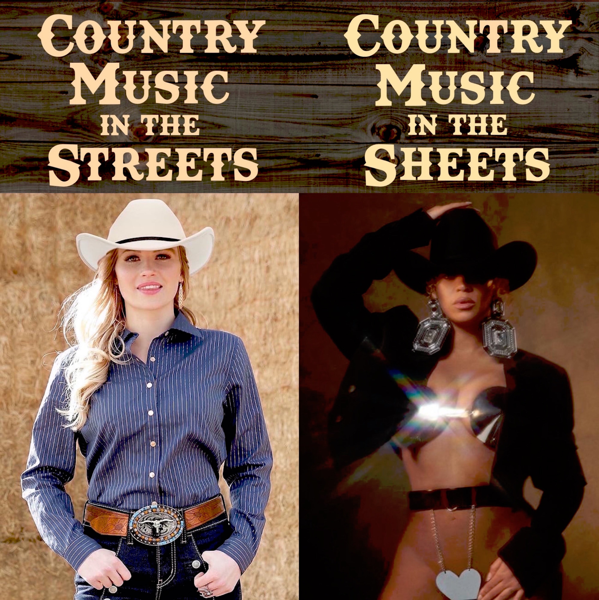 High Quality Beyonce Country Music Country Meme Blank Meme Template