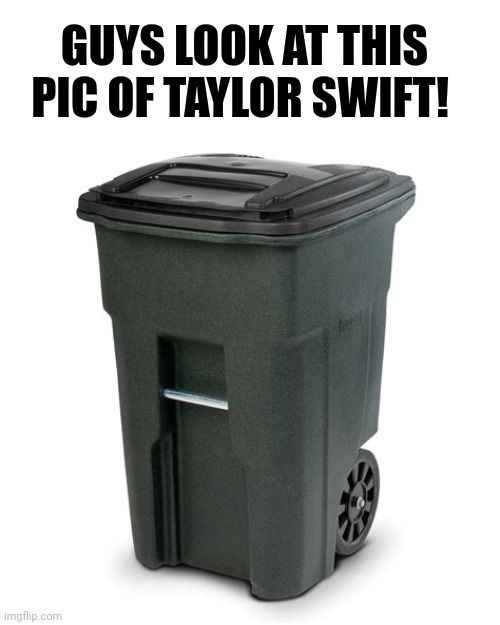 I took it in person XD | GUYS LOOK AT THIS PIC OF TAYLOR SWIFT! | image tagged in trash,taylor swift | made w/ Imgflip meme maker