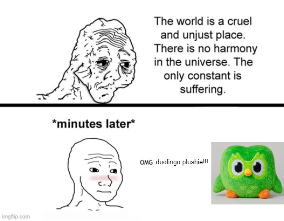 title here | duolingo plushie!!! | image tagged in the only constant is suffering | made w/ Imgflip meme maker