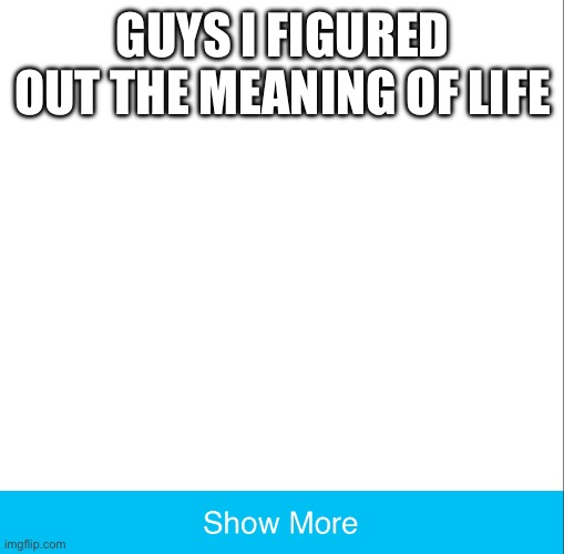 this is revolutionary | GUYS I FIGURED OUT THE MEANING OF LIFE | image tagged in show more 2 0 | made w/ Imgflip meme maker