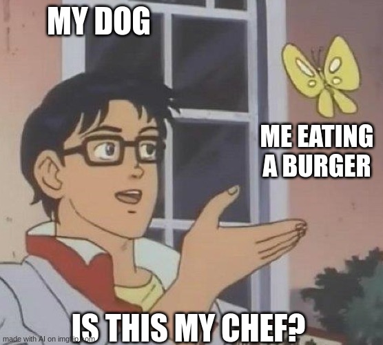 is this butterfly | MY DOG; ME EATING A BURGER; IS THIS MY CHEF? | image tagged in is this butterfly | made w/ Imgflip meme maker