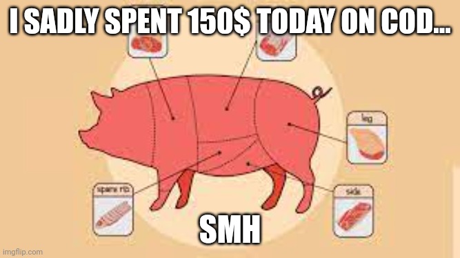 gosh | I SADLY SPENT 150$ TODAY ON COD... SMH | image tagged in porky | made w/ Imgflip meme maker