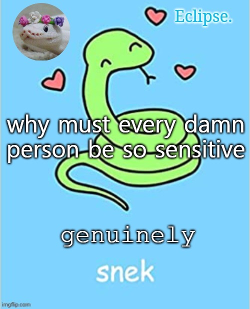 not everybody in the world is going to like you, get over it | why must every damn person be so sensitive; genuinely | image tagged in h | made w/ Imgflip meme maker