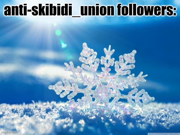 snowflake swines have no balls, friends, or life | anti-skibidi_union followers: | image tagged in snowflake | made w/ Imgflip meme maker
