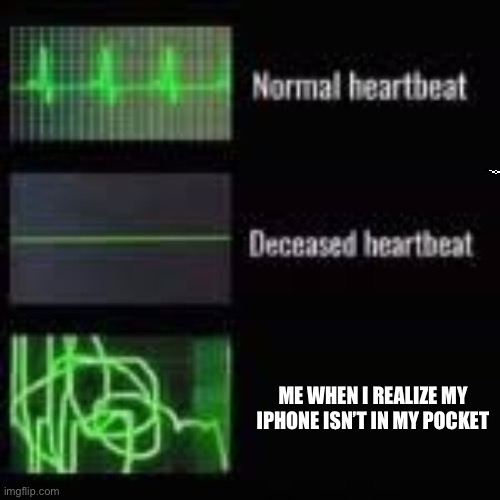 Bro u serious wright now | ME WHEN I REALIZE MY IPHONE ISN’T IN MY POCKET | image tagged in heart monitor | made w/ Imgflip meme maker
