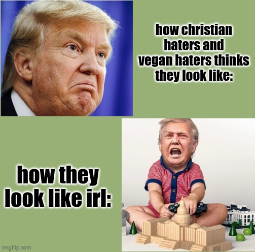 they are most probably snowflake manchilds | how christian haters and vegan haters thinks they look like:; how they look like irl: | image tagged in the two speeds of trump | made w/ Imgflip meme maker