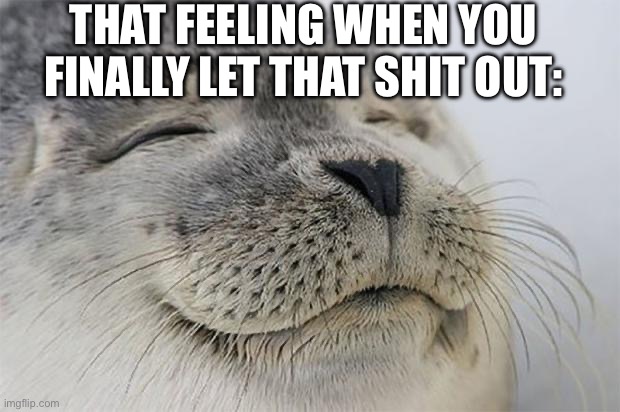 Satisfied Seal | THAT FEELING WHEN YOU FINALLY LET THAT SHIT OUT: | image tagged in memes,satisfied seal | made w/ Imgflip meme maker