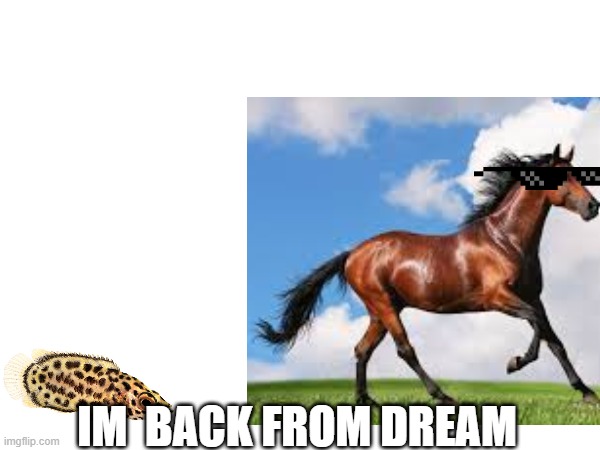 goodmorning | IM  BACK FROM DREAM | image tagged in im,back,from,dream | made w/ Imgflip meme maker