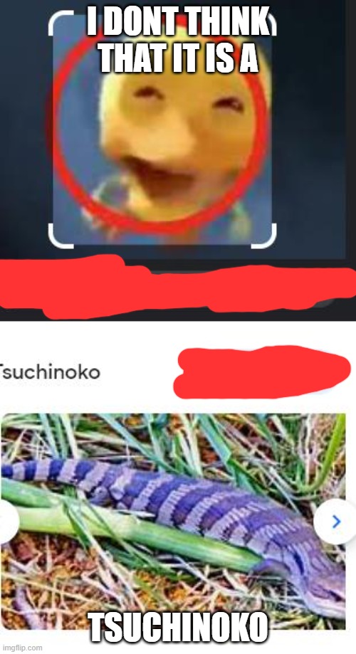 its a duck not a snake | I DONT THINK THAT IT IS A; TSUCHINOKO | image tagged in that,isn't,a,tsuchinoko | made w/ Imgflip meme maker