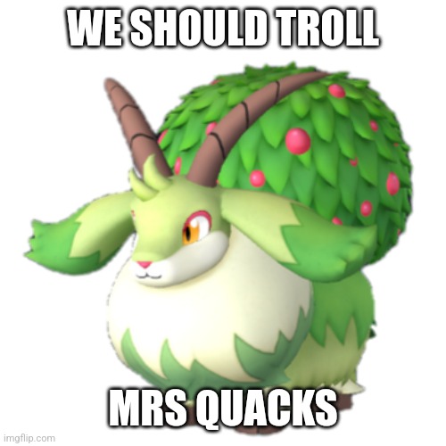 Caprity | WE SHOULD TROLL; MRS QUACKS | image tagged in caprity | made w/ Imgflip meme maker