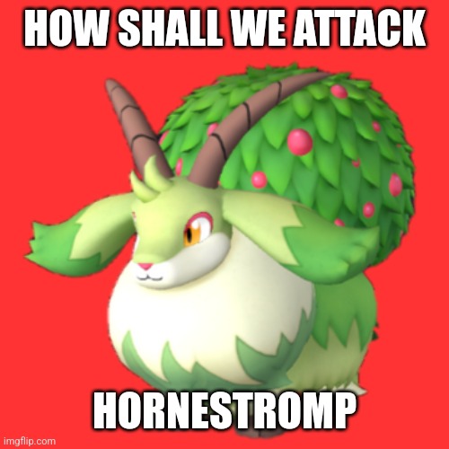 Caprity | HOW SHALL WE ATTACK; HORNESTROMP | image tagged in caprity | made w/ Imgflip meme maker