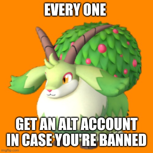 Caprity | EVERY ONE; GET AN ALT ACCOUNT IN CASE YOU'RE BANNED | image tagged in caprity | made w/ Imgflip meme maker