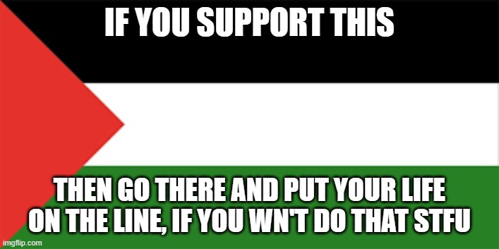 Palestine flag | IF YOU SUPPORT THIS; THEN GO THERE AND PUT YOUR LIFE ON THE LINE, IF YOU WN'T DO THAT STFU | image tagged in palestine flag | made w/ Imgflip meme maker
