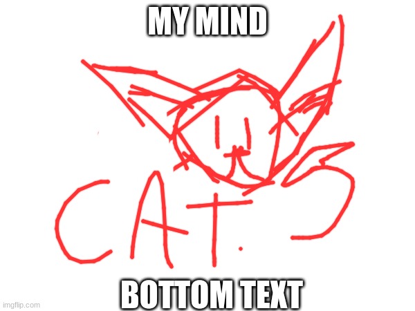 My mind. Bottom Text | MY MIND; BOTTOM TEXT | image tagged in cat | made w/ Imgflip meme maker