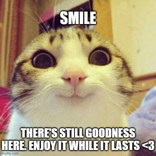 Smiling Cat Meme | SMILE; THERE'S STILL GOODNESS HERE. ENJOY IT WHILE IT LASTS <3 | image tagged in memes,smiling cat | made w/ Imgflip meme maker