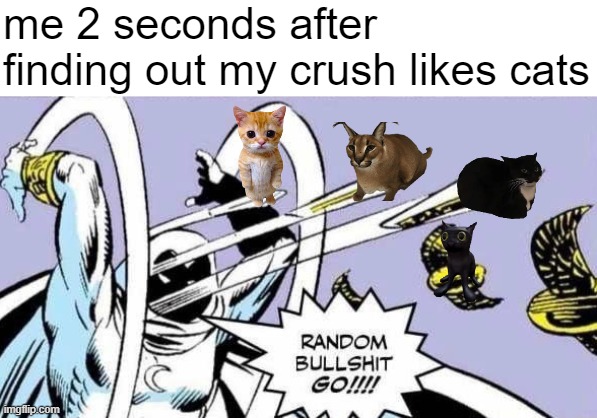 me when uhhhh uhhhhhhhhhh | me 2 seconds after finding out my crush likes cats | image tagged in random bullshit go,cats,memes | made w/ Imgflip meme maker