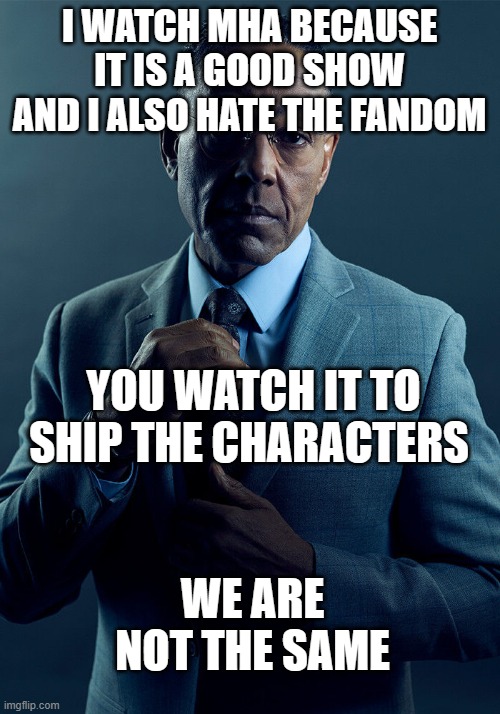 Gus Fring we are not the same | I WATCH MHA BECAUSE IT IS A GOOD SHOW AND I ALSO HATE THE FANDOM; YOU WATCH IT TO SHIP THE CHARACTERS; WE ARE NOT THE SAME | image tagged in gus fring we are not the same | made w/ Imgflip meme maker