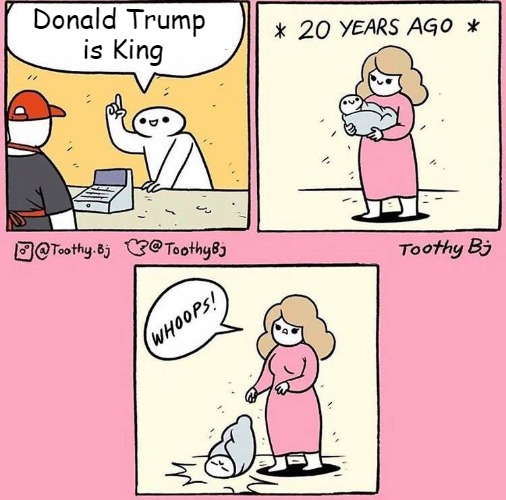 Whoops! Baby | Donald Trump 
is King | image tagged in whoops baby,king trump | made w/ Imgflip meme maker